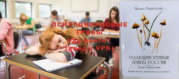 стафф Абинск