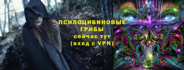 ешки Алзамай