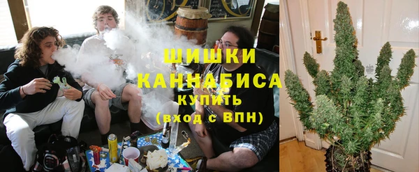 ешки Алзамай