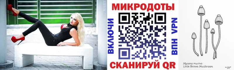 площадка формула  Духовщина  Галлюциногенные грибы GOLDEN TEACHER 